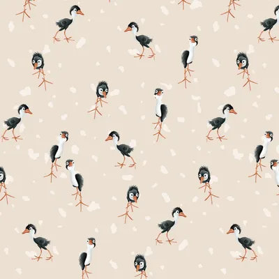Crazy Bird 1