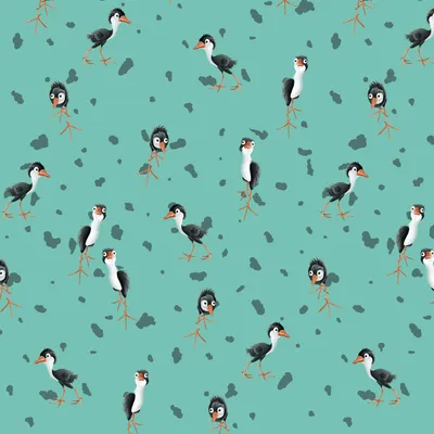 Crazy Bird 5