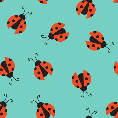 Just so 4 – Little Bug