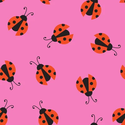 Just so 5 – Little Bug