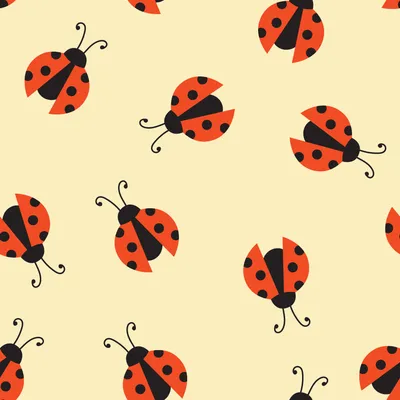 Just so 6 – Little Bug